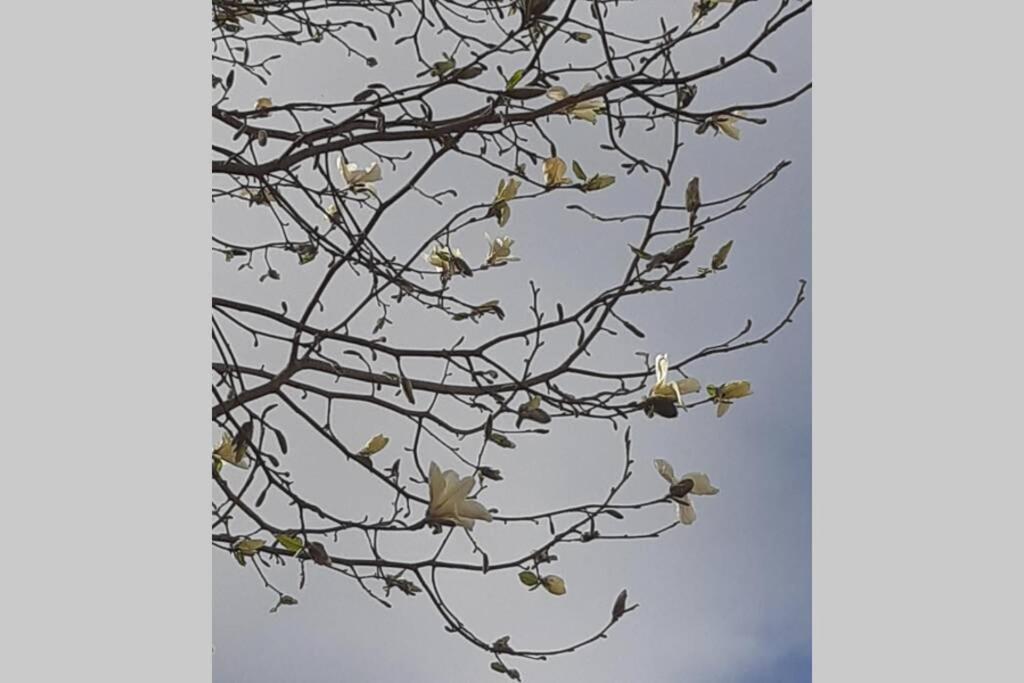 PaterswoldeOranjerie, 7 Km Onder Groningenアパートメント エクステリア 写真